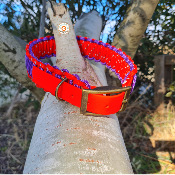 Collier chien BIOTHANE ORANGE tressé Paracord Violet/Orange fluo