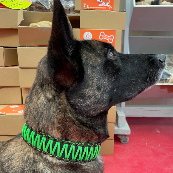 Collier chien BIOTHANE NOIR tressé Paracord Vert fluo/Noir chiné