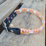 Collier ANTI TIQUE paracord/biothane - boucle chromée - REF GIBRALTAR