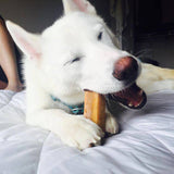 Fromage pour chien -  appelé fromage de yak
