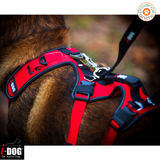 Harnais Confort Treck- I-DOG