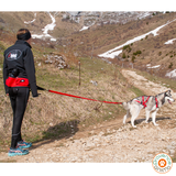 Harnais Confort Treck- I-DOG