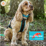 Harnais Open back - INLANDSIS spécial petit chien