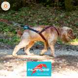 Harnais Open back - INLANDSIS spécial petit chien