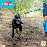 Baudrier canicross/canirando Aircross - INLANDSIS