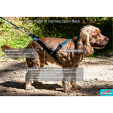 Harnais Open back - INLANDSIS spécial petit chien