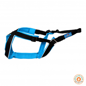Harnais Open back - INLANDSIS spécial petit chien