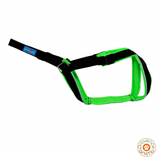 Harnais Open back - INLANDSIS spécial petit chien