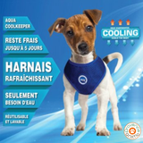 Harnais rafraîchissant pour chien - Aqua coolkeeper