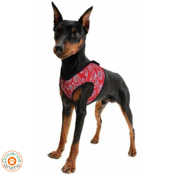 Harnais rafraîchissant pour chien - Aqua coolkeeper