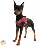 Harnais rafraîchissant pour chien - Aqua coolkeeper