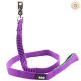 Laisse anti choc - I-DOG