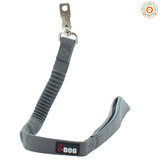Laisse anti choc - I-DOG