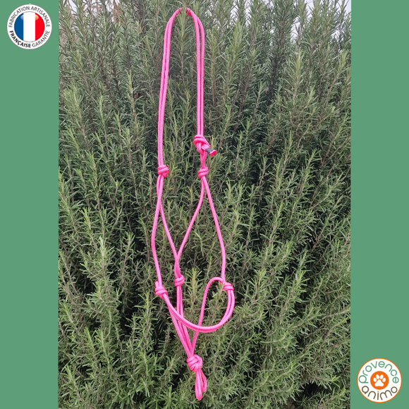 Licol éthologique - Provence Animo