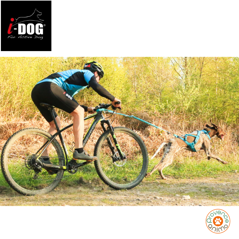 Barre VTT Link - I-DOG – Provence Animo