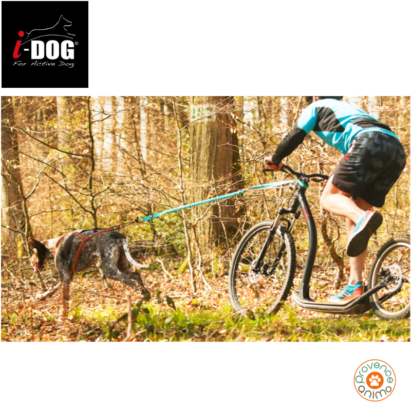 Barre CaniVTT Link ALM I-DOG - Activité chien