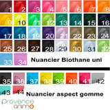 Collier pour chien en biothane uni - REF AVIGNON - Coloris au choix