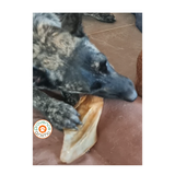 Oreille de boeuf pour chien