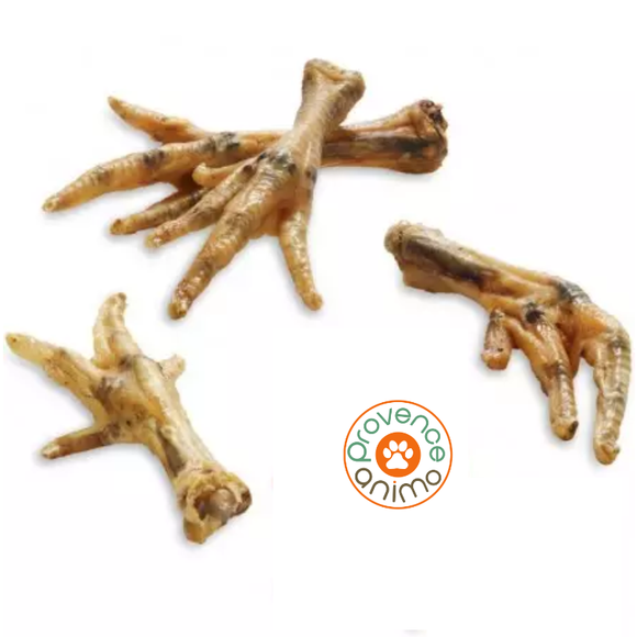 Patte de poulet séchée pour chien