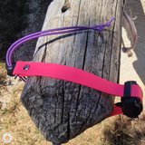 Collier chien biothane élastiqué pour collier de rappel - REF ARLES