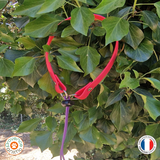 Collier chien biothane élastiqué pour collier de rappel - REF ARLES