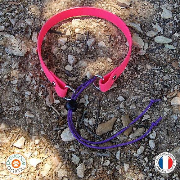 Collier chien biothane élastiqué pour collier de rappel - REF ARLES