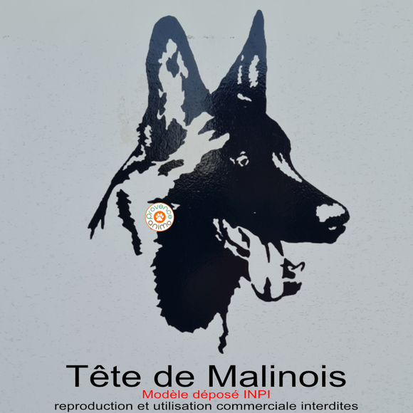 Autocollant Tête de Malinois