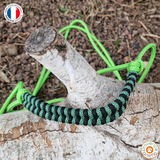 Licol éthologique - tressage plat - Provence Animo