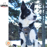 Harnais cani-jogging Style - UPKA